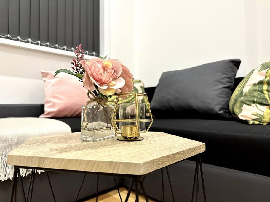 Spacious And Elegant Apartment Μπέρμιγχαμ Εξωτερικό φωτογραφία